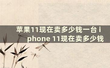 苹果11现在卖多少钱一台 iphone 11现在卖多少钱